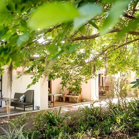 مبيت وإفطار هويدزبروت Francines Venue Pty Ltd المظهر الخارجي الصورة